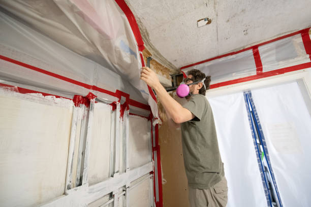 Best Mold Removal for HVAC Installations  in Sans Souci, SC