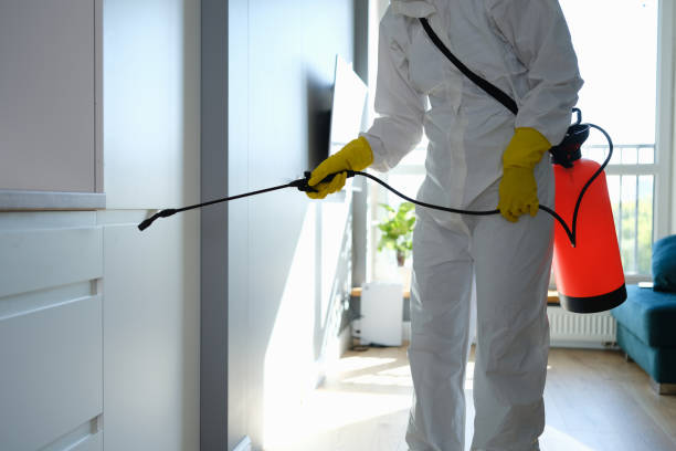 Best Mold Remediation for Healthcare Facilities  in Sans Souci, SC