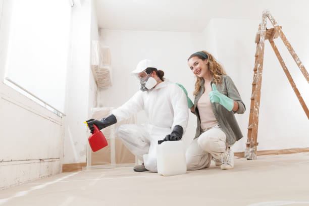 Best Environmental Consulting for Mold Prevention  in Sans Souci, SC